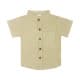 Light Green Formal Shirt